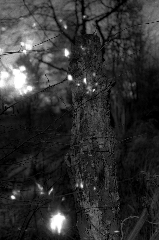 Contax D + Industar-61 L/Z - Old Fence 3