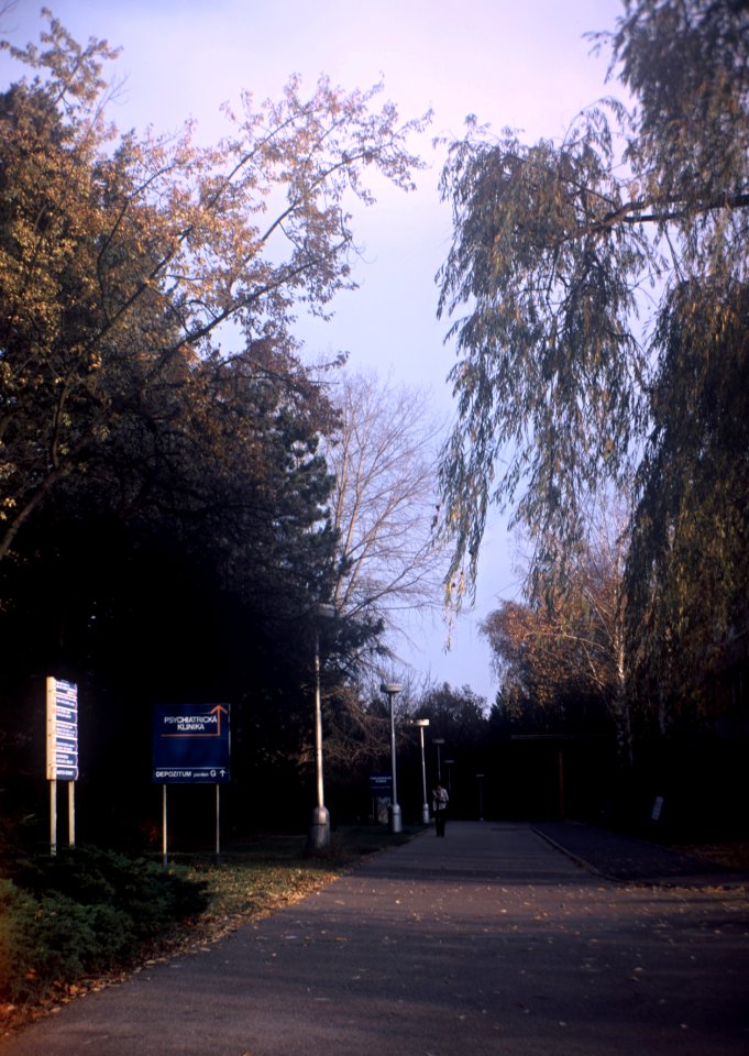 Portrait Brownie No2 - Hospital Path 1