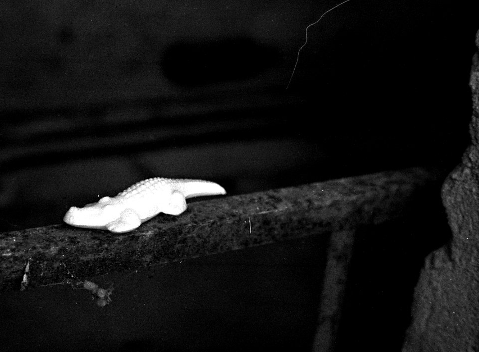 Ricoh TLS 401 with Helios 44-2 - Little Inhabitants of Abandoned Places 01