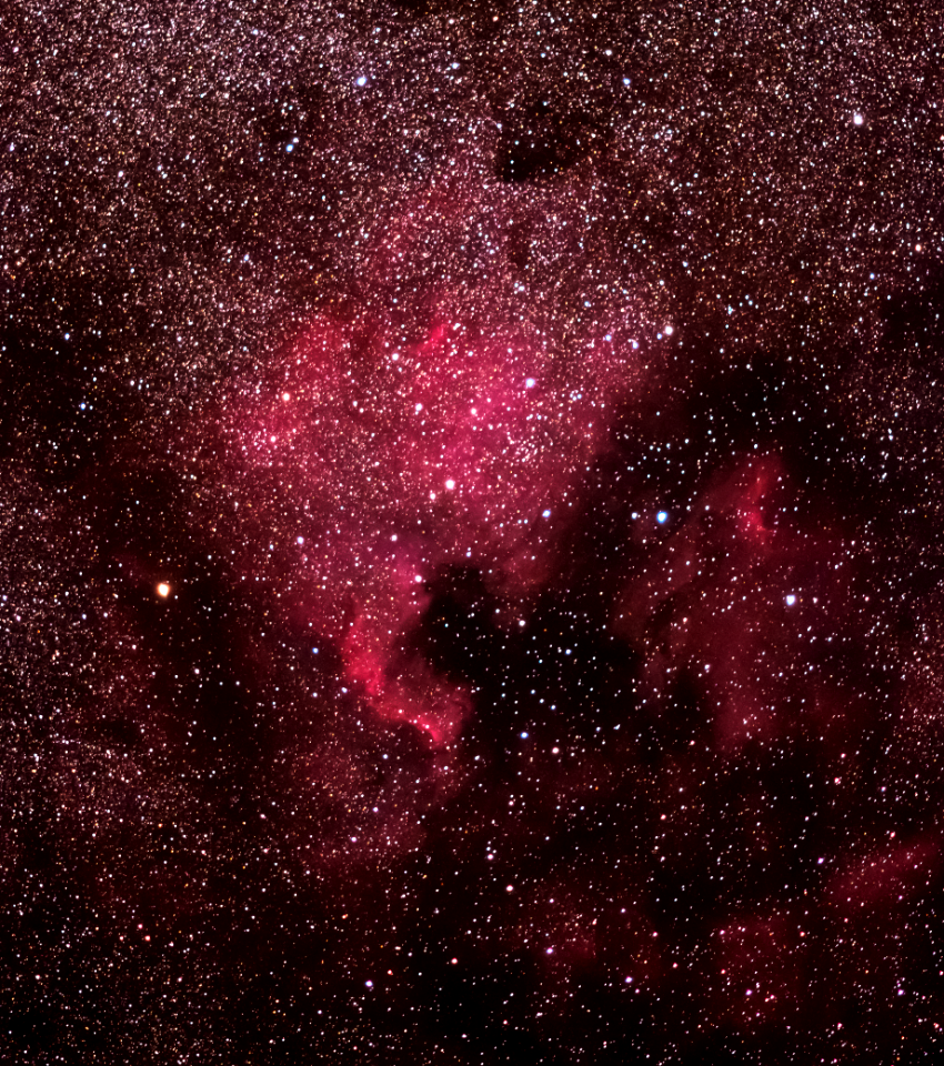 North American and Pelican Nebulae