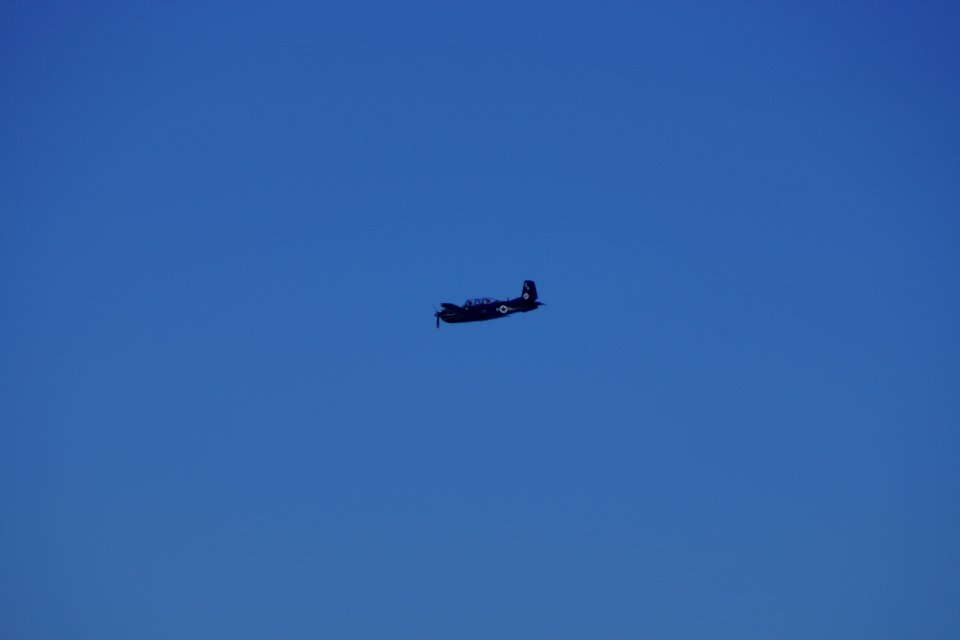 DSC08249