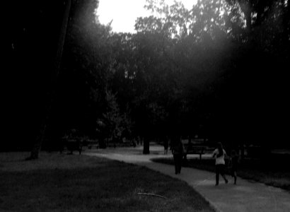 Siluet Elektro - Lužánky Park Scene 2