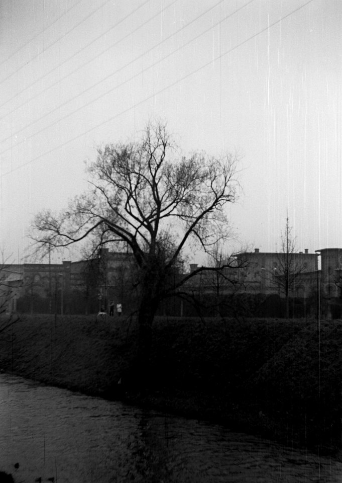 Zeiss Ikon Box Tengor - Former City Slaughterhouse at Svitava River in Foggy Day 3