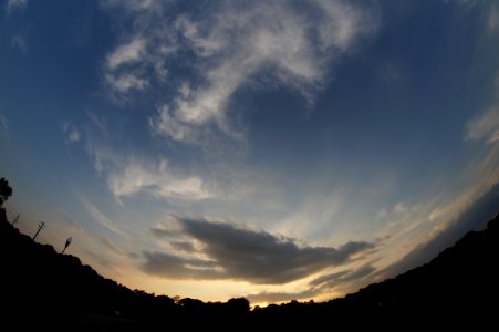 DSC02519