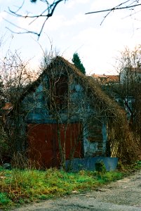 Zorki 4 + Industar-61 L/D - Písečník Colony 08