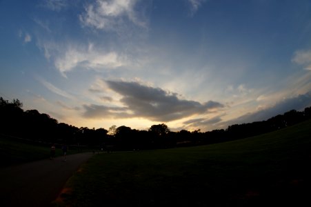 DSC02517