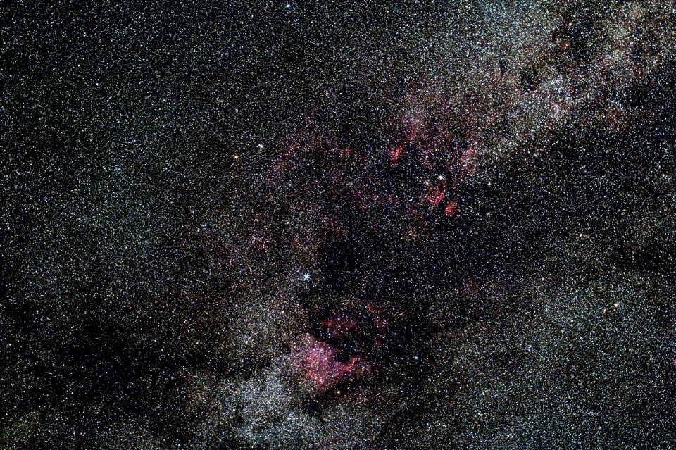 Cygnus Region