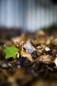 Season seasonal colours