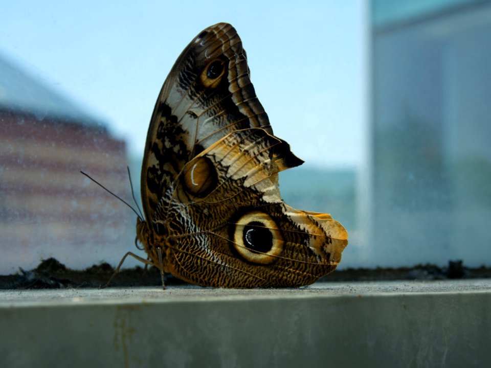 P5140156