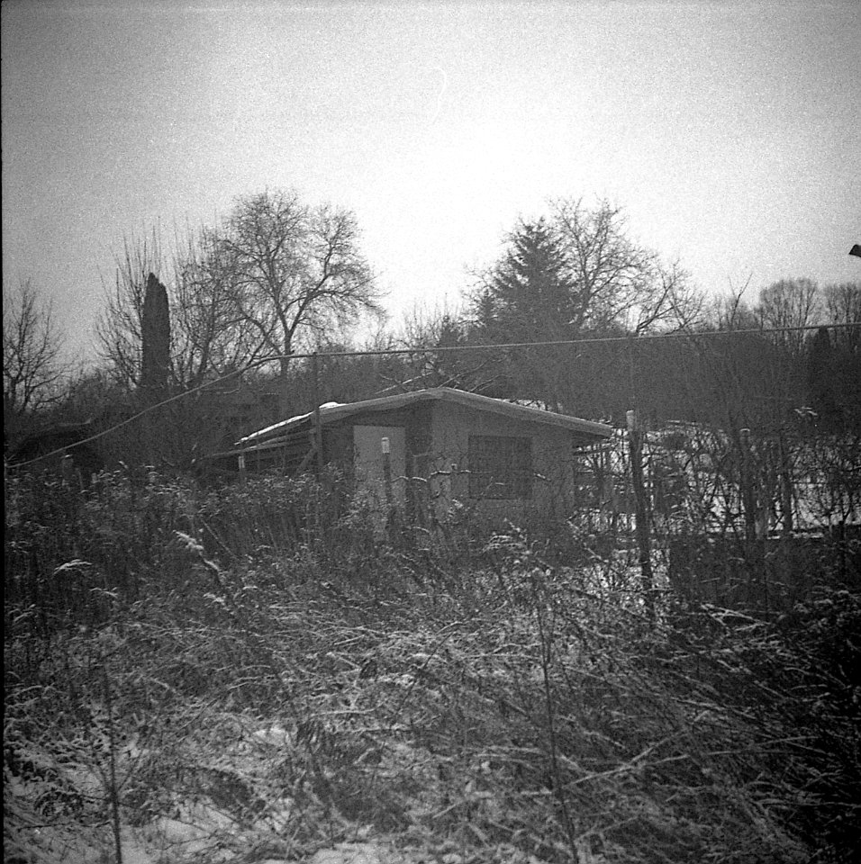 Altix I - Winter Impressions 04