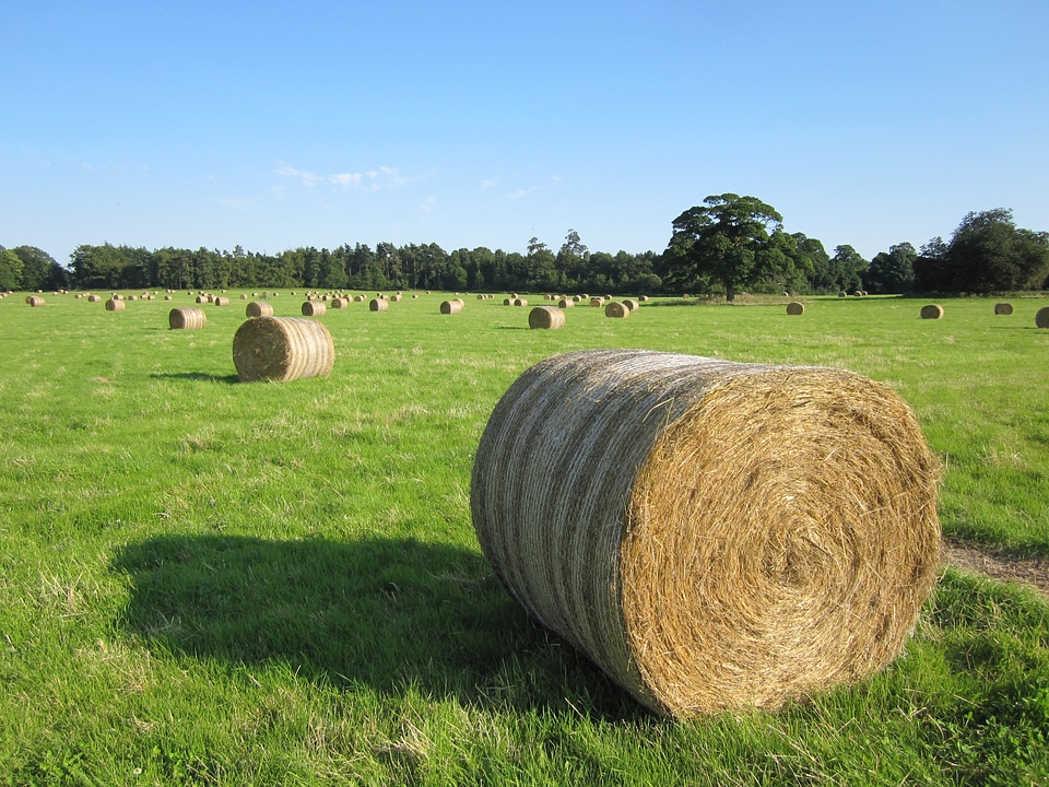 Countryside bale harvest
