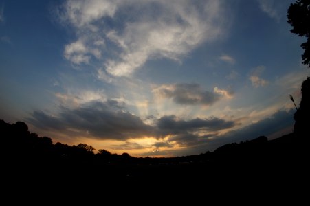 DSC02548