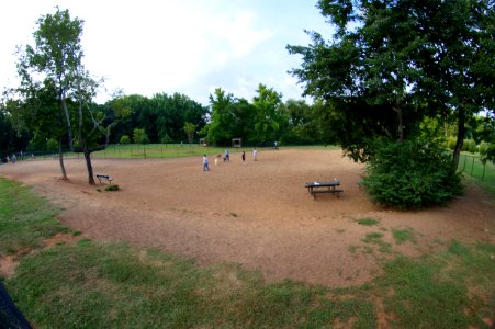 DSC02471
