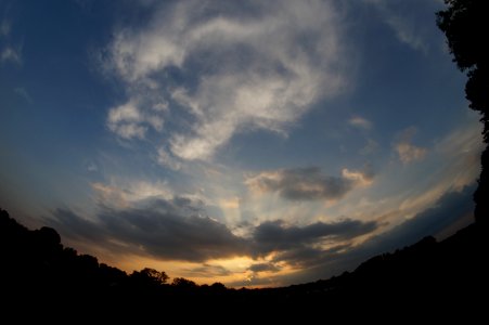 DSC02547