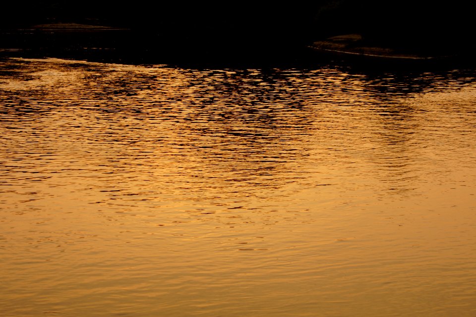 The Ogeechee River