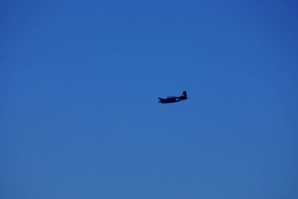DSC08250