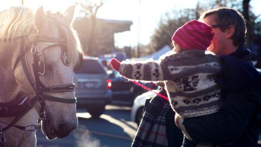 Girl Petting Horse photo