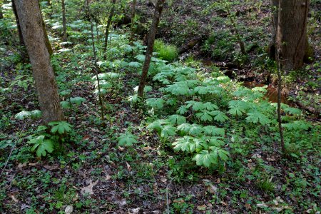 DSC00939