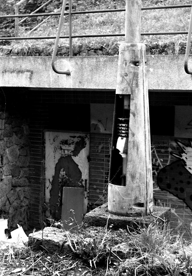Ricoh TLS 401 with Helios 44-2 - Beauties of Decay and Other Stories