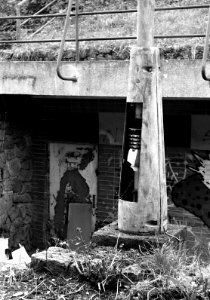 Ricoh TLS 401 with Helios 44-2 - Beauties of Decay and Other Stories