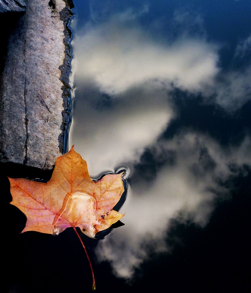 Sheet water autumn