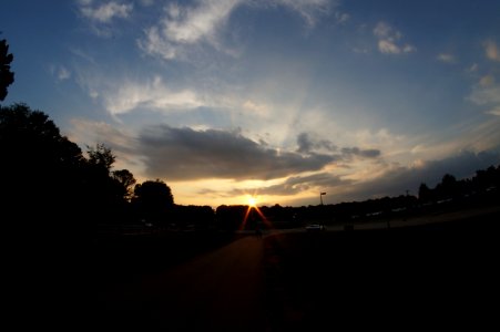 DSC02528