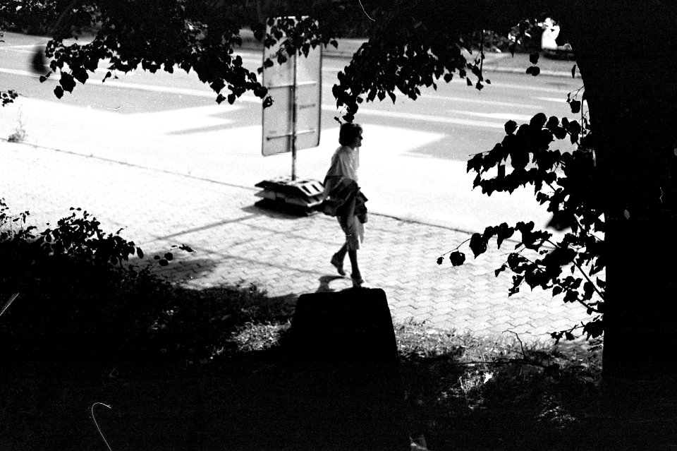 Canon EOS 30 - Framed by Branches