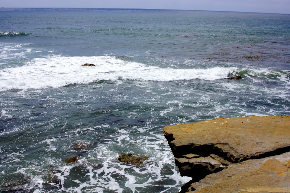 DSC08262