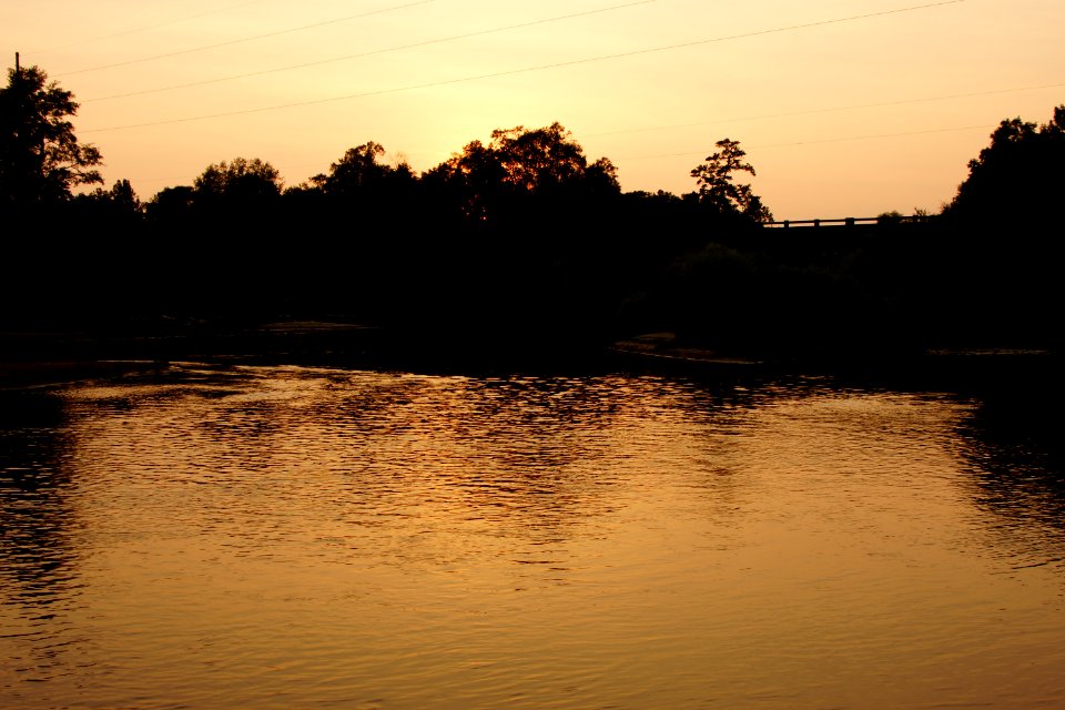 The Ogeechee River