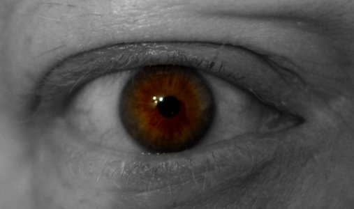 Day 163 - Window to the Soul