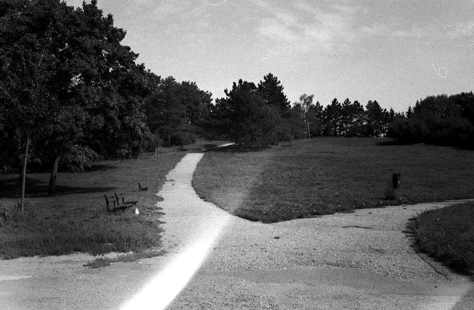 Lomo 135VS - Park on Kraví Hora Hill 1