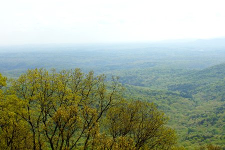 DSC00934