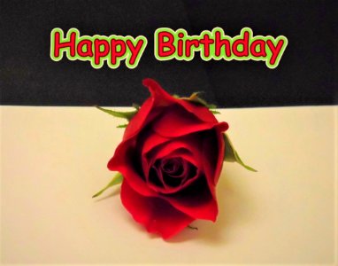 Birthday Card with Rose photo