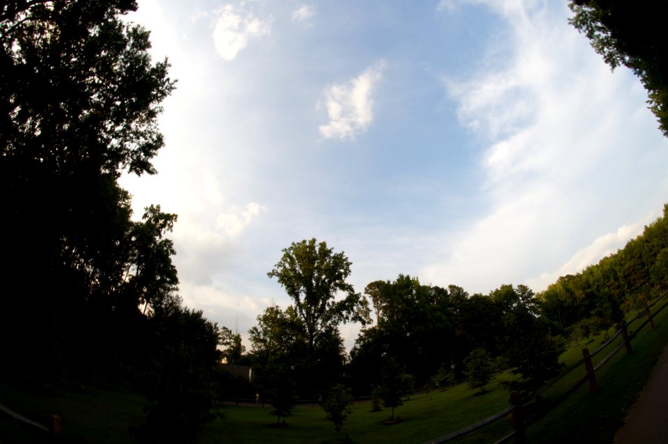 DSC02484