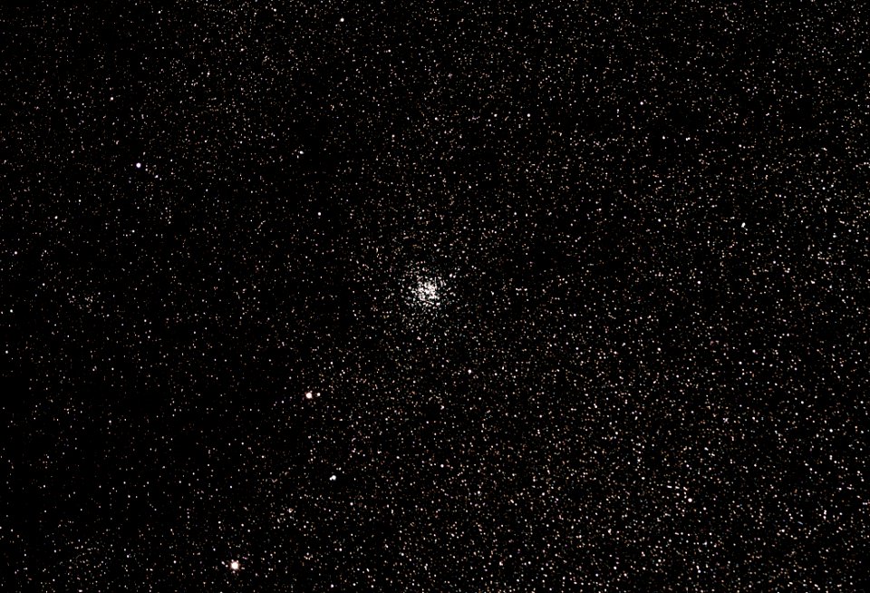 The Wild Duck Cluster