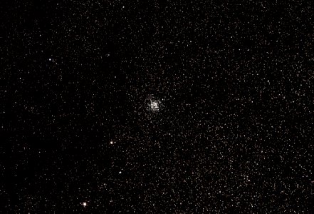The Wild Duck Cluster