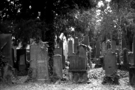 Praktica BC1 - Jewish Cemetery Brno 01 photo