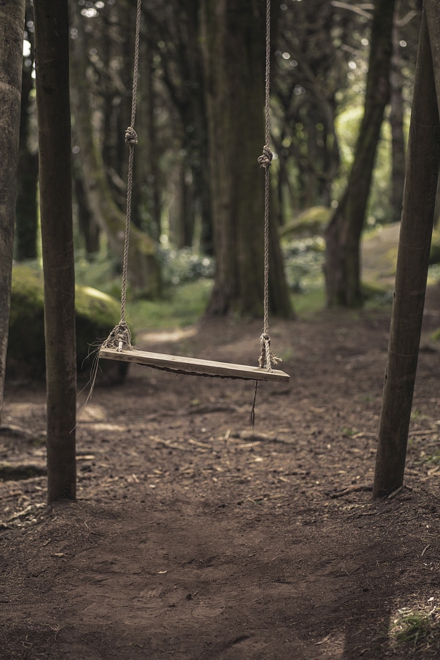 Outdoor forest outside