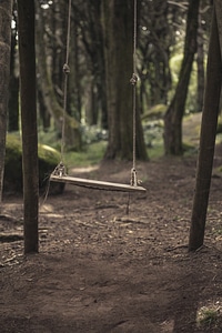 Outdoor forest outside