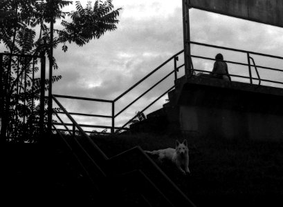 Exa + Tessar 2,8/50 - Beauties of Decay and Other Stories