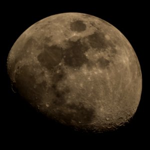 Golden Waxing Gibbous