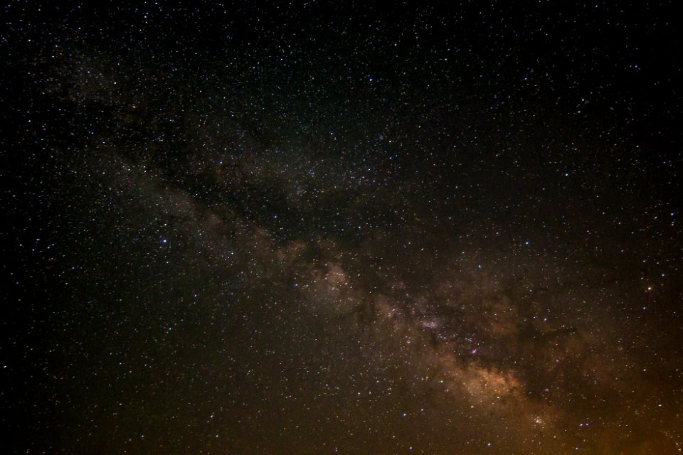 “We all travel the Milky Way together, trees and men.” - John Muir