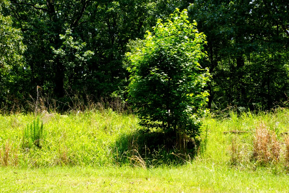 DSC06193