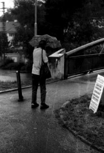 Sokol 2 - Woman with Umbrella photo