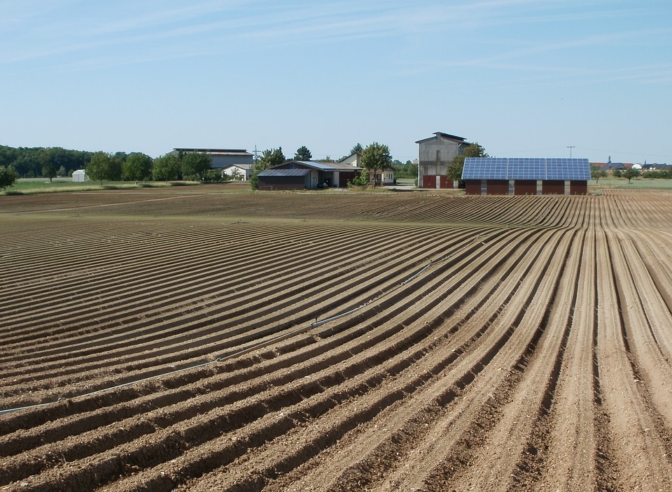 Oftersheim agriculture nature