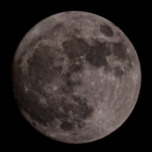 99% Full Waxing Gibbous photo