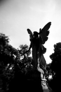 Holga 120FN - Gravestone Angel 1