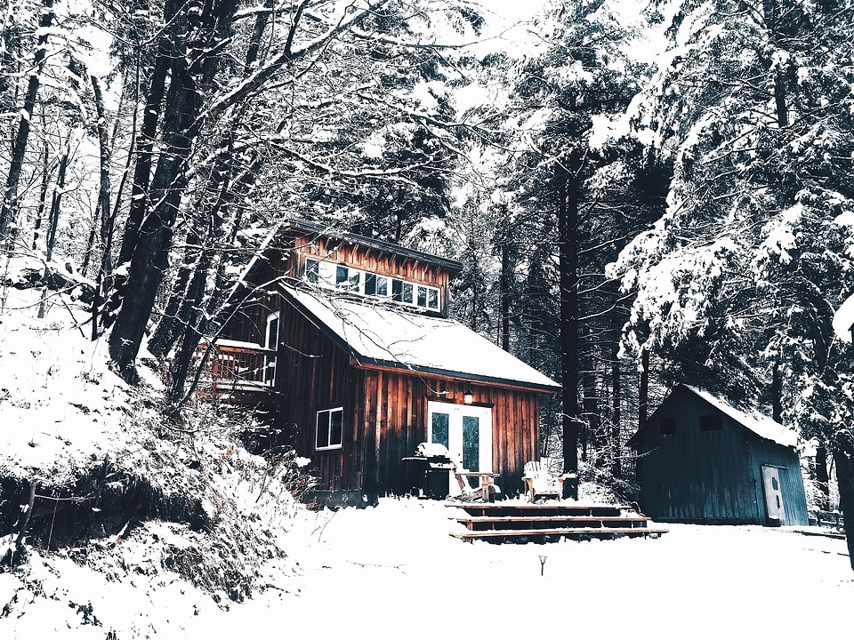 Winter nature landscape