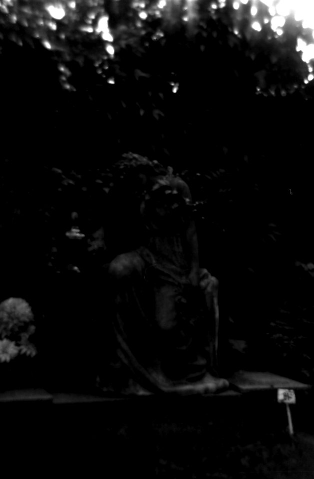 Holga 120FN - Gravestone 2