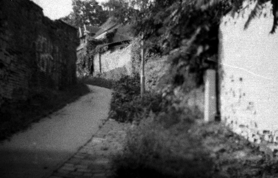 Praktica BC1 - Path to the Yellow Hill (Žlutý kopec) 5
